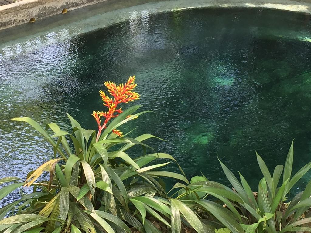 La Kuka Hotel - Nuquí Bagian luar foto